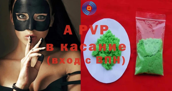 крисы Новозыбков