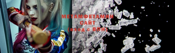 крисы Новозыбков