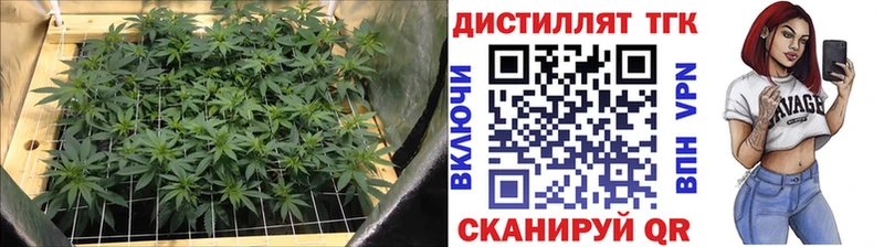 Дистиллят ТГК Wax  мега ONION  Шали 