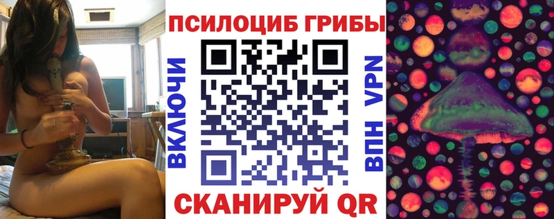 Галлюциногенные грибы Magic Shrooms  что такое наркотик  ОМГ ОМГ вход  Шали 