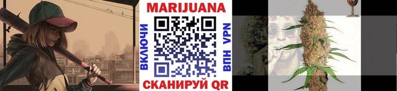 Канабис план  Шали 